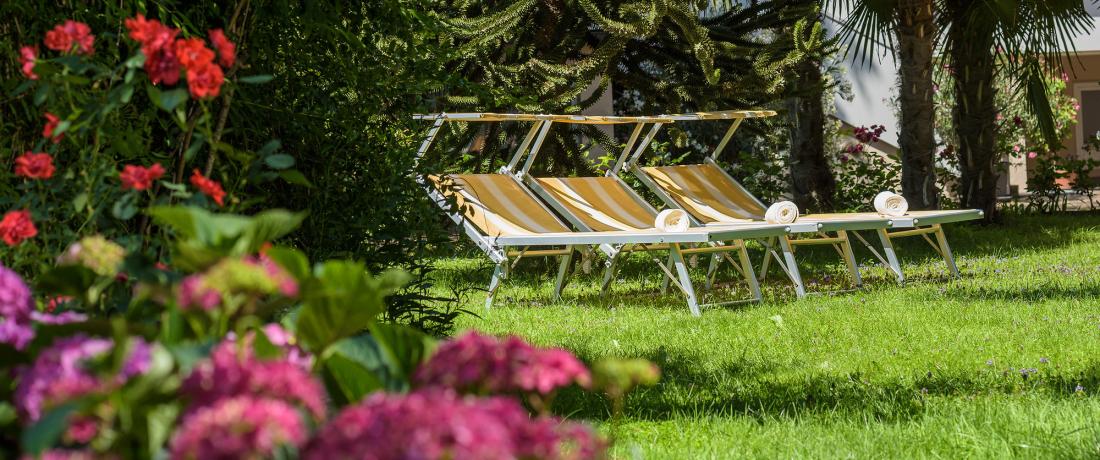 Liegewiese mit Blumen